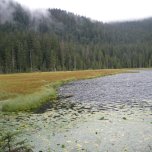 Velké Javorské jezero 3